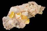 Orange Wulfenite Crystal Cluster - La Morita Mine, Mexico #170317-1